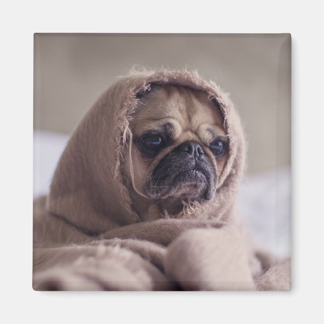 Aimant de chien mignon 3 (Devant)