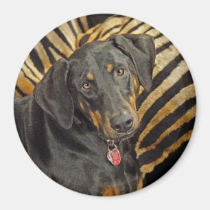 Aimant de chiot de livre de dobermann