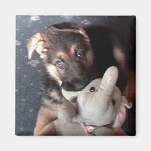 Aimant de chiot de Shephard d'Allemand