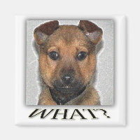 Aimant de chiot super mignon