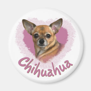 Aimant de chiwawa