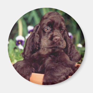 Aimant de cocaïer au chocolat