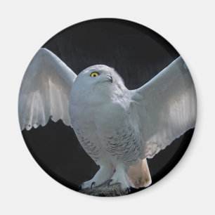 Aimant de contrôle avant le vol