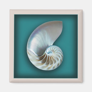 Aimant de coque du Nautilus