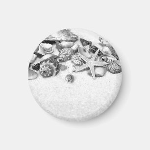 Aimant de coquilles et de poisson étoilé