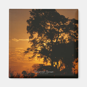 Aimant de coucher du soleil de la savane