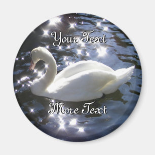Aimant de cygne