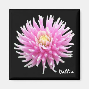 Aimant de dahlia