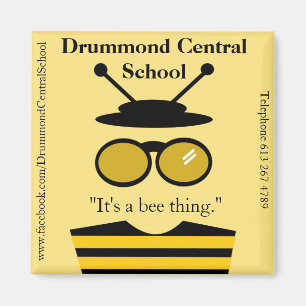 Aimant de DCS Beeman