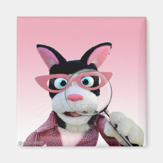 Aimant de démarrage