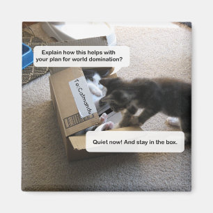 Aimant de Domination Mondiale Chat