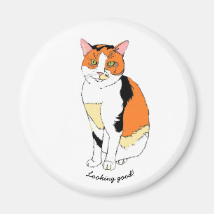 Aimant de fantaisie de chat