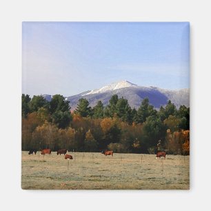 Aimant de ferme d'Adirondack