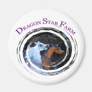 Aimant de ferme DRAGON STAR