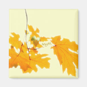 Aimant de feuille d'automne