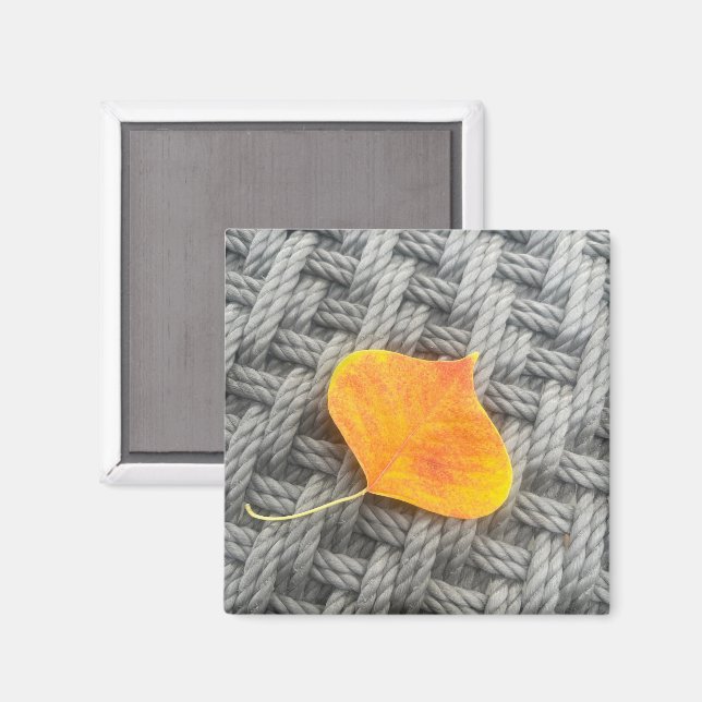 Aimant de feuilles (Recto/Verso)