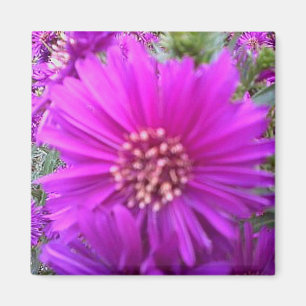 Aimant de fleur