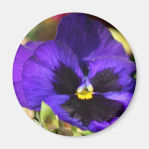 Aimant de fleur de pensée