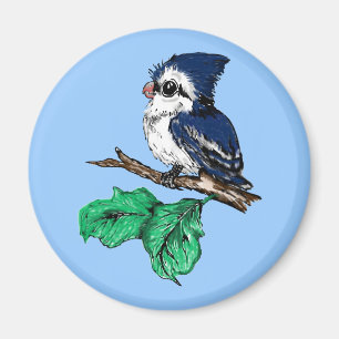 Aimant de geai bleu de bébé