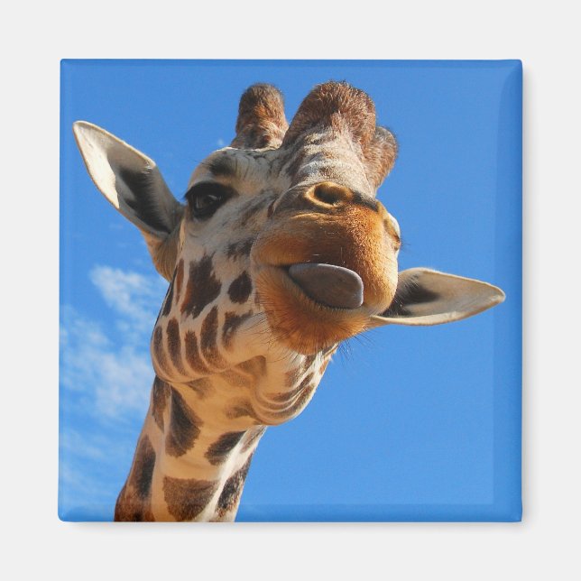 Aimant de girafe (Devant)