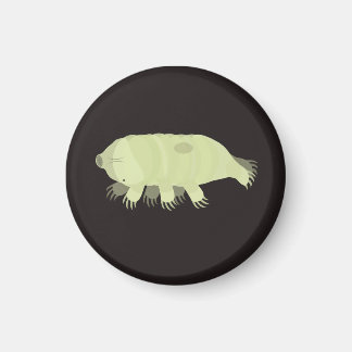 Aimant de grade Tardique