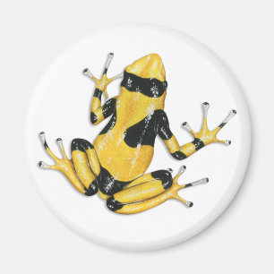 Aimant de grenouille de dard de poison