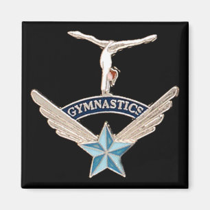 Aimant de gymnastique