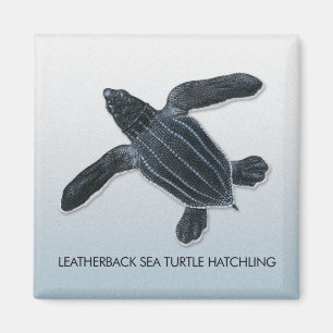 Aimant de Hatchling de tortue de mer de