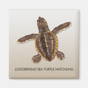 Aimant de Hatchling de tortue de mer d'imbécile