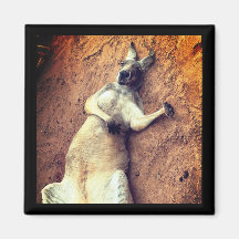 Aimant de kangourou pour journées paresseuses