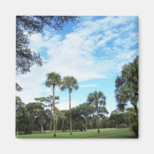 Aimant de Kiawah Island