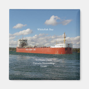 Aimant de la baie Whitefish