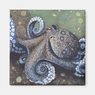 Aimant de la chaîne