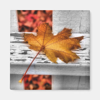 Aimant de la feuille d'automne