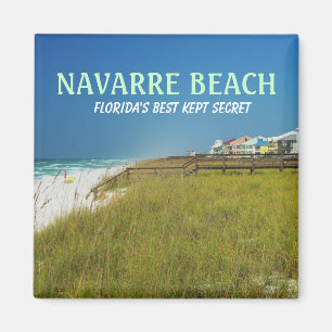 AIMANT DE LA FLORIDE DE PLAGE DE LA NAVARRE