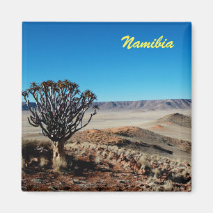 Aimant de la Namibie