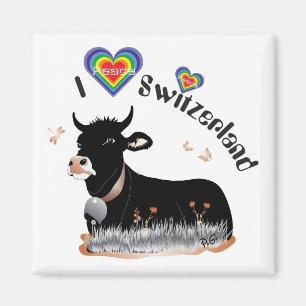 Aimant de la Suisse