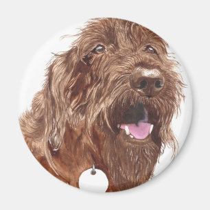 Aimant de Labradoodle #1 de chocolat