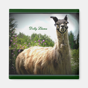 Aimant de lama de chariot