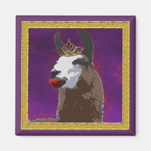Aimant de lama de drame