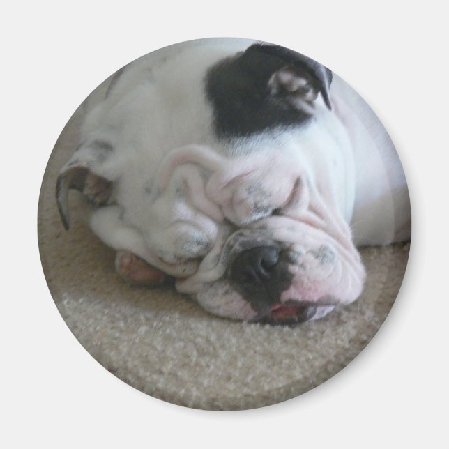 Aimant de liberté (Devant)