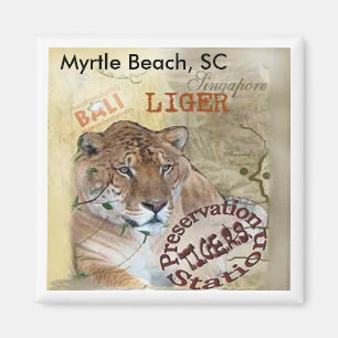 Aimant de Liger - Myrtle Beach, Sc