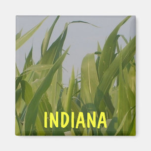 Aimant de l'Indiana