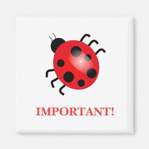 Aimant de Madame Bug  