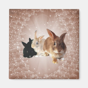 Aimant de magie de lapin de Pâques