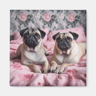 Aimant De magnifiques chiens de Carlin sur une couverture