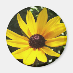 Aimant de marguerite jaune
