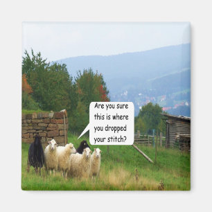 Aimant de moutons de point de baisse