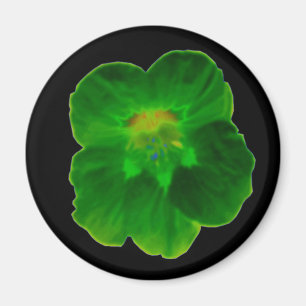 Aimant de Nasturtium vert