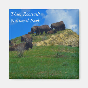 Aimant de ND de parc national de Theodore